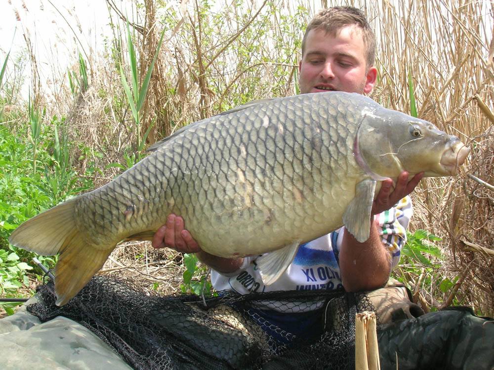 BRIGADA DIVERSE  - DSCN2397.JPG